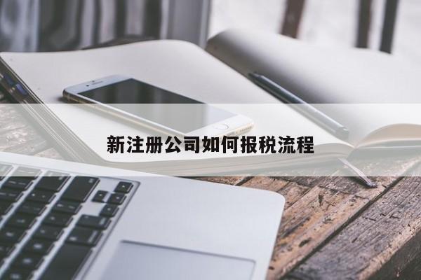 新注册公司如何报税流程