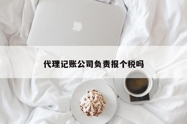 代理记账公司负责报个税吗